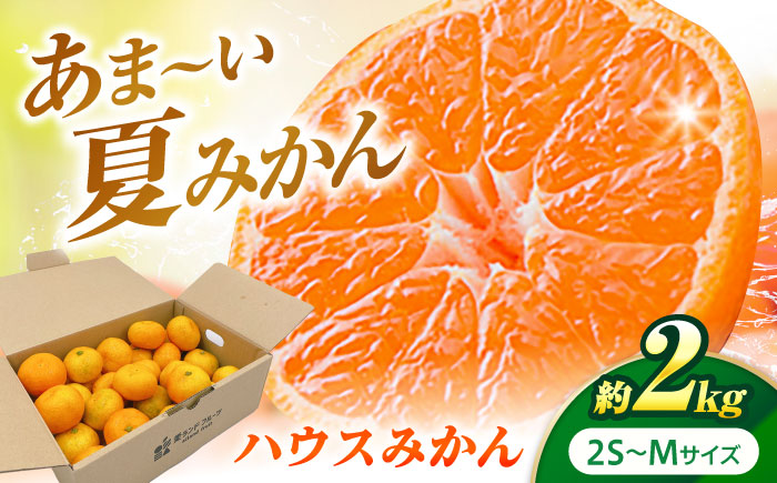 ハウスみかん 2kg [7月下旬から9月下旬まで順次発送] / フルーツ 果物 蜜柑 ミカン オレンジ 小玉 甘い 先行予約 2kg 愛媛 / 愛媛県砥部町/株式会社フジ・アグリフーズ [BJBI001]