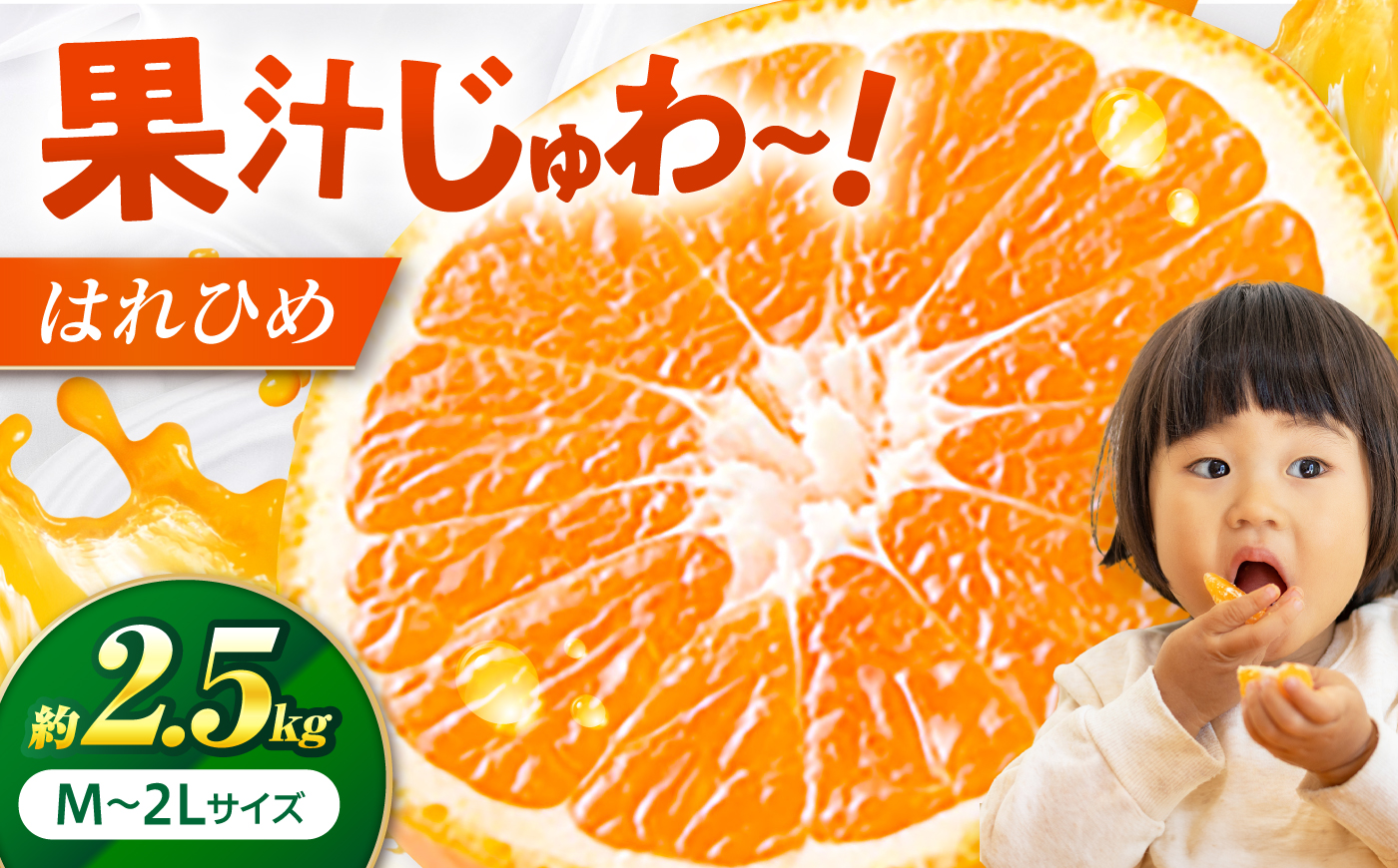 はれひめ 約2.5kg M-2Lサイズ【12月上旬から翌年1月上旬まで順次発送】 / フルーツ 果物 蜜柑 ミカン オレンジ 甘い 先行予約 約 3kg 愛媛 / 愛媛県砥部町/株式会社フジ・アグリフーズ [BJBI004]