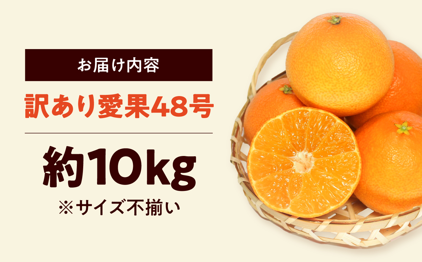 みかん 訳あり 愛果48号 約10kg サイズ不揃い【3月中旬から4月下旬まで順次発送】/ フルーツ 果物 蜜柑 ミカン オレンジ 訳あり 訳アリ 小玉 甘い 先行予約 10kg 愛媛 / 愛媛県砥部町/えひめ農園組合 [BJAZ014]