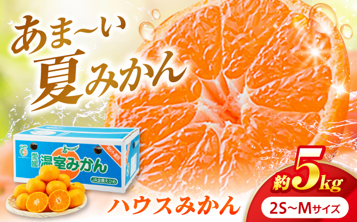 みかん ハウスみかん 約5kg ご家庭用 【7月下旬から9月下旬まで順次発送】 / フルーツ 果物 柑橘 蜜柑 ミカン はうすみかん オレンジ 小玉 甘い 先行予約 約 5kg 愛媛 果汁 人気 おすすめ  / 愛媛県砥部町/株式会社フジ・アグリフーズ [BJBI015]