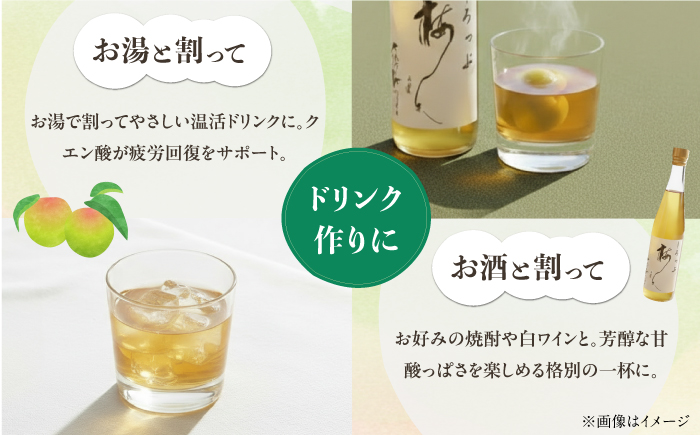 【全3回定期便】梅シロップ 七折小梅の梅シロップ 500ml×2本 / 梅シロップ シロップ 梅 うめ ウメ 七折小梅 梅ジュース 国産 砂糖 炭酸割り うめジュース 希釈用 プレゼント ギフト 人気 おすすめ / 愛媛県砥部町/農事組合法人ななおれ梅組合 [BJAG002]