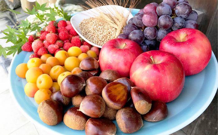 クラフトジン 道後ジン六媛 500ml×1本 / クラフトジン 蒸留酒 お酒 ジン スピリッツ 地酒 / 愛媛県砥部町/水口酒造株式会社 [BJAI004]