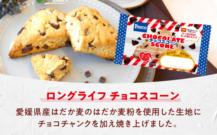 スコーン チョコスコーン 20個 / スイーツ おやつ お菓子 チョコ チョコレート 非常食 ギフト / 愛媛県砥部町/株式会社四国シキシマパン [BJAA004]