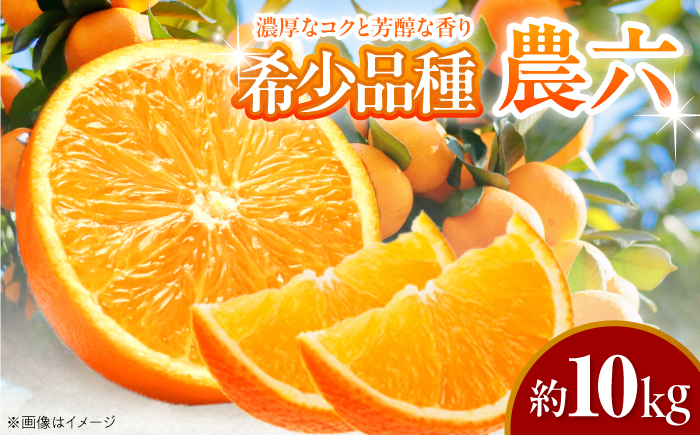 みかん 農六 約10kg【2月上旬から3月下旬まで順次発送】 / フルーツ 果物 蜜柑 ミカン オレンジ 小玉 甘い 先行予約 10kg 愛媛 / 愛媛県砥部町/和氣隆司 [BJBF004]
