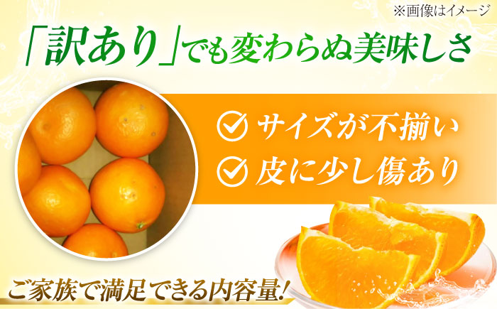 みかん 訳あり 愛果28号 約3kg サイズ不揃い【11月下旬から12月下旬まで順次発送】 / フルーツ 果物 蜜柑 ミカン オレンジ 訳あり 訳アリ 小玉 甘い 先行予約 3kg 愛媛 / 愛媛県砥部町/株式会社フルーツファーム健治郎 [BJBE001]