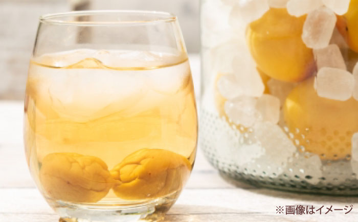 梅 七折小梅(生梅) 2kg 【5月中旬から6月下旬まで順次発送】 / 小梅 青梅 生梅 梅干し 梅干 梅酒 梅ジュース 梅シロップ 2kg 先行予約 / 愛媛県砥部町/株式会社フジ・アグリフーズ [BJBI011]