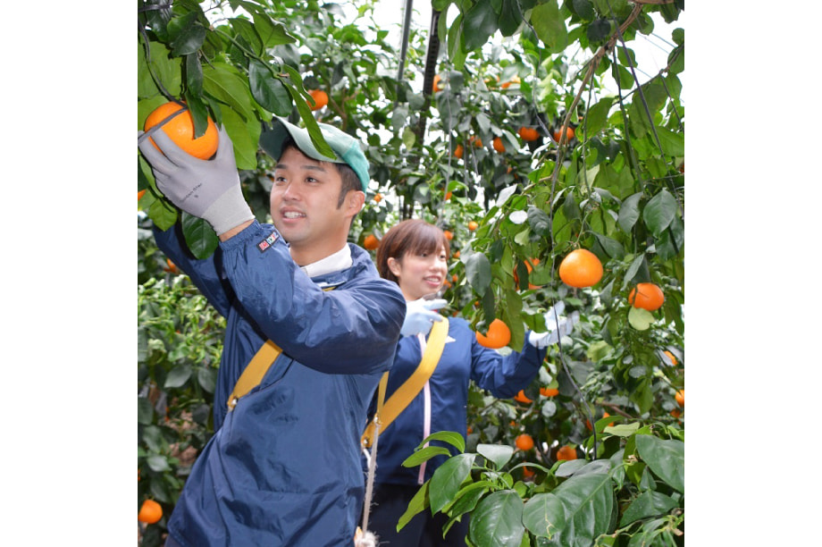 「いろどり」人々の交流や産業の発展により本町に生まれる彩り【産業、観光・交流分野】