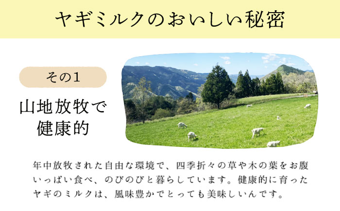 ヤギミルクのプリン 90g×6個 ギフト箱入り ／ スイーツ 菓子 ギフト 贈答 国産 おすすめ 送料無料 冷蔵 愛媛県 内子町 【やまま牧場】 [BKBV006]