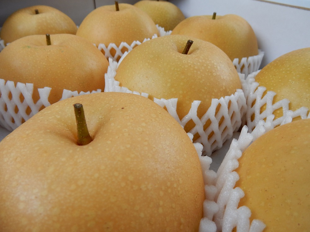 è€æžææš¹åã®ããã¥ã梚ïŒ2ïŒã8ïœ10çå
¥ãã