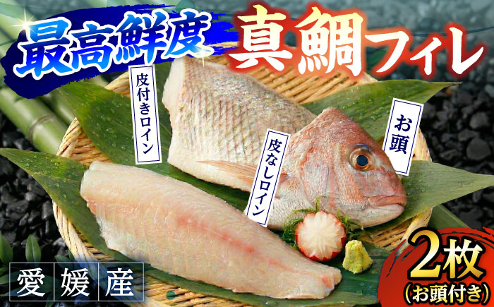 愛媛県産養殖真鯛フィレ2枚（お頭付き冷凍） ／ 魚 お魚 さかな 食品 人気 おすすめ 【愛媛県漁業協同組合】 [BKBA001]