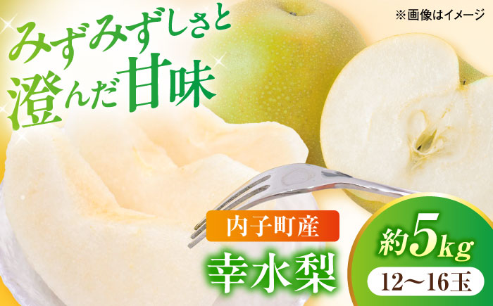 【先行予約】幸水梨【12〜16玉】＜2026年8月上旬から発送＞【北海道・沖縄配送不可】 ／ 梨 なし ナシ 和梨 果物 フルーツ 国産 産地直送【株式会社フジ・アグリフーズ】 [BKAY032]