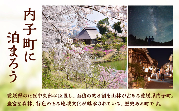 ＜ログ立山＞1泊2食 ペア宿泊券／宿泊 チケット 人気 おすすめ 内子町 四国 愛媛県 【うちこグリーンツーリズム協会】 [BKAK004]