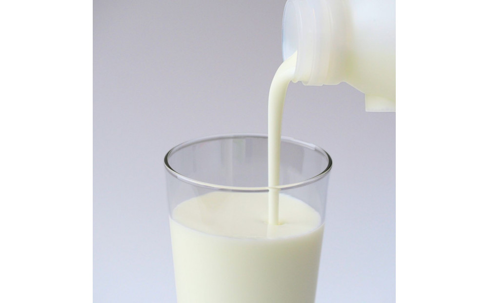 【2026年発送分 先行予約】 みんなのヤギミルクヨーグルト（無糖タイプ）3本セット