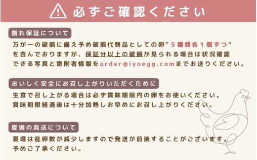 はじめての卵　食べ比べセット 6個×5種類(内割れ保証5個、各種1個づつ)