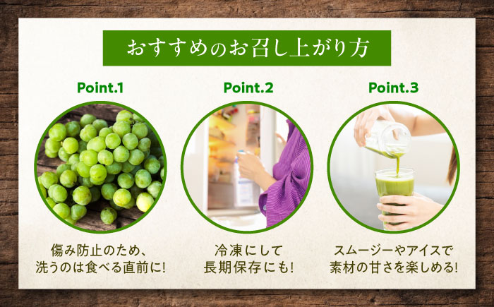 【先行予約】瀬戸ジャイアンツ 約2kg1箱（4房〜6房）＜2026年8月下旬から発送＞/ 瀬戸ジャイアンツ ぶどう ブドウ 葡萄 マスカット ますかっと 愛媛県 愛媛 内子町 フルーツ 果物 送料無料 美味しい おすすめ 人気 皮ごと 特産品 四国 国産 【有限会社ふじブドウ園】 [BKCW001]
