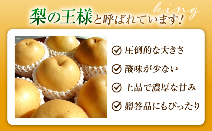 【先行予約】新高梨 （にいたかなし） 4〜6玉 〈2026年9月〜発送〉 ／ フルーツ 果物 くだもの 食品 人気 おすすめ 梨 なし 新高梨 にいたかなし 和梨 甘い 高糖度 ／　株式会社内子フレッシュパークからり [BKAD121]