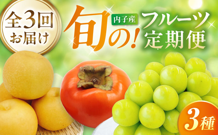 【先行予約】【3回定期便】梨・ぶどう・柿 旬のフルーツ定期便 ＜2026年8月中旬から発送＞【北海道・沖縄配送不可】 ／かき カキ ブドウ 葡萄 梨 なし ナシ 和梨 果物 フルーツ 国産 産地直送【株式会社フジ・アグリフーズ】 [BKAY030]