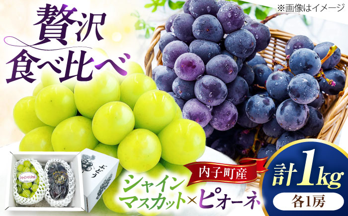 【先行予約】シャインマスカット・ピオーネのセット 約1kg ＜2026年8月下旬から発送＞ ／ シャインマスカット 大人気 愛媛県 美味しい 人気 皮ごと 葡萄 ブドウ 愛媛県産 内子町産 新鮮 旬 フルーツ 果物 くだもの【株式会社フジ・アグリフーズ】 [BKAY012]