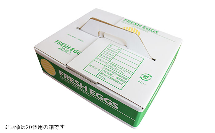 はじめての卵 食べ比べセット 6個×5種類(内割れ保証5個、各種1個づつ)／たまご 生卵 食べ比べ 詰め合わせ お試し 内子町 四国 愛媛県 【有限会社イヨエッグ】 [BKCB001]