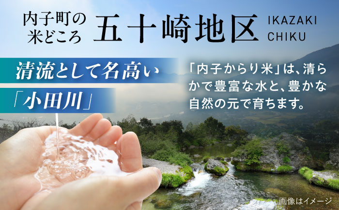 内子からり米 令和7年産ヒノヒカリ 5kg（精米5kg×1袋）／ お米 こめ 白米 精米 食品 令和7年度 ヒノヒカリ 送料無料【株式会社内子フレッシュパークからり】 [BKAD092]
