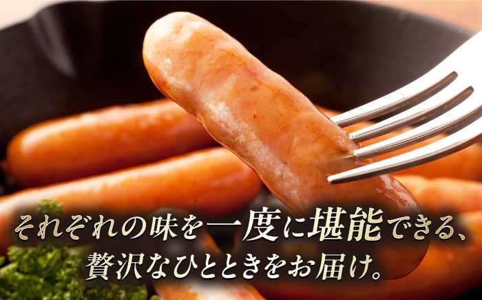 内子からり直送！ドイツ仕込み内子豚ハムソーセージセット2 ／ ソーセージ BBQ お弁当 ハム 晩酌 おつまみ ギフト 四国 愛媛県 内子町 【株式会社内子フレッシュパークからり】 [BKAD003]
