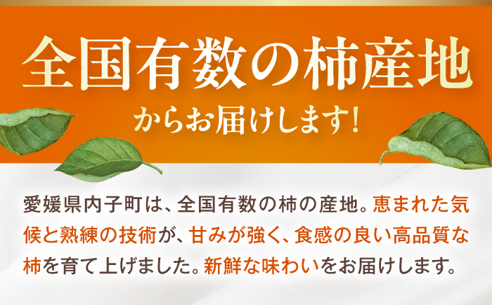 【先行予約】太秋柿 赤秀2Lサイズ約3kg（12玉入り）／ フルーツ 果物 くだもの かき 柿 内子町【愛媛たいき農業協同組合　果樹生産出荷協議会　柿部会】 [BKAL004]