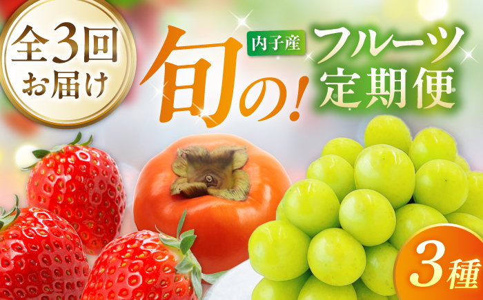 【先行予約】【3回定期便】ぶどう・柿・いちご 旬のフルーツ定期便【北海道・沖縄配送不可】 ／かき カキ ブドウ 葡萄 いちご 苺 イチゴ 果物 フルーツ 国産 産地直送【株式会社フジ・アグリフーズ】BKAY034