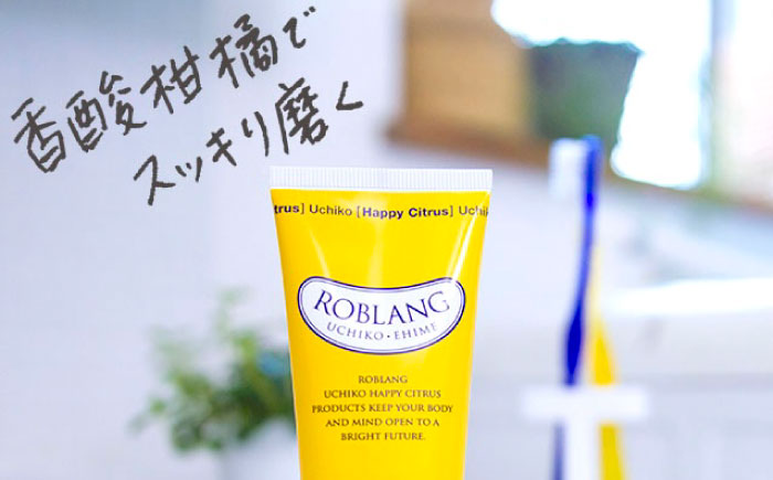 ロブラングギフトセットA／ デンタルケア オーラルケア 口腔ケア 口腔衛生ケア プレゼント ギフト 日用品 内子町 四国 愛媛県 【昭和刷子株式会社】 [BKAZ006]