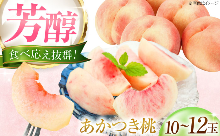 藤渕果樹園のあかつき桃 10〜12玉入り 〈2026年7月〜発送〉 ／ フルーツ 果物 くだもの 食品 人気 おすすめ 送料無料 桃 もも あかつき桃 モモ 季節のフルーツ 【株式会社内子フレッシュパークからり】 [BKAD059]