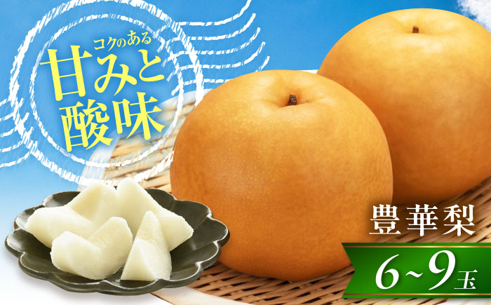尾形農園の豊華梨(ゆたかなし) 6〜9玉入 〈2026年9月〜発送〉 ／ 梨 なし フルーツ 果物 くだもの 食品 人気 おすすめ 季節のフルーツ 豊華梨【株式会社内子フレッシュパークからり】 [BKAD037]