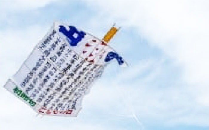 おめでとう！初節句出世凧申込権【いかざき大凧合戦実行委員会】 [BKBF007]