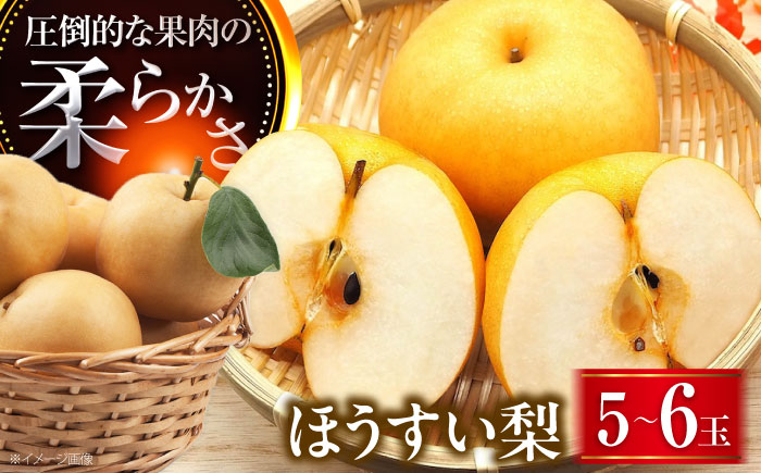稲田ペアファームの豊水梨（ほうすいなし） 5〜6玉入 〈2026年8月〜発送〉 ／ 梨 なし フルーツ 果物 くだもの 食品 人気 おすすめ 季節のフルーツ 豊水梨 【株式会社内子フレッシュパークからり】 [BKAD030]