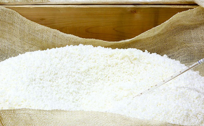 創業明治26年 老舗 「内子・森文」おふくみそ（麦みそ）3個セット（1kg×3袋） ／ 食品 加工食品 人気 おすすめ 送料無料 みそ 味噌 ミソ 麦味噌 おふくみそ 【森文醸造株式会社】 [BKAA001]