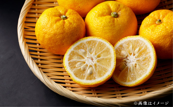 愛媛県産「果実系リキュール」呑み比べセット / 果実 レモン みかん 飲み比べ アルコール お酒 人気 おすすめ 送料無料 愛媛 【愛媛県酒造協同組合】 [BKAW002]