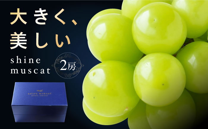 シャインマスカット2房 bloom leaf ／ フルーツ くだもの 果物 ぶどう ブドウ 葡萄 皮ごと マスカット ますかっと 【ブルームリーフ合同会社】 [BKBI001]