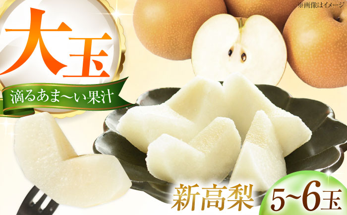 藤渕果樹園の新高梨（にいたかなし） 5〜6玉入り 〈2026年10月〜発送〉 ／ 梨 なし フルーツ 果物 くだもの 食品 人気 おすすめ 季節のフルーツ 新高梨 【株式会社内子フレッシュパークからり】 [BKAD021]