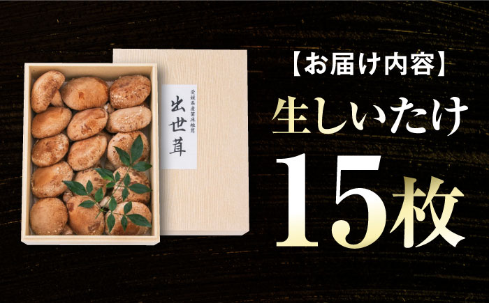 生しいたけ 15枚入 ／ しいたけ 椎茸 シイタケ きのこ キノコ 野菜 愛媛県 内子町産 四国 【株式会社フジ・アグリフーズ】 [BKAY014]