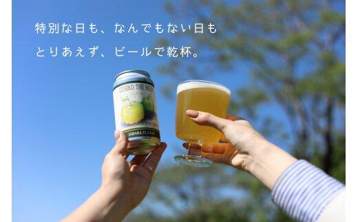 UCHIKO　THE BEER　350ml×６缶セット