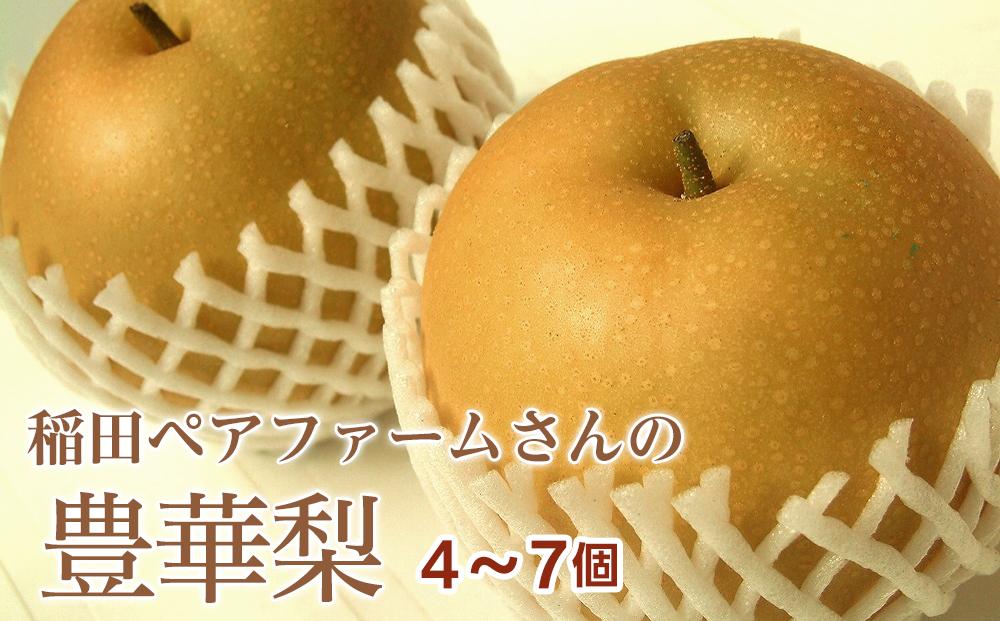 稲田ペアファームの豊華梨（ゆたかなし）（2）【6～9玉入り】