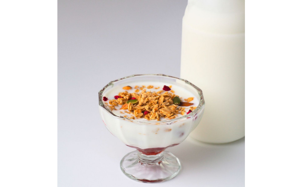 【2026年発送分 先行予約】 みんなのヤギミルクヨーグルト（無糖タイプ）3本セット