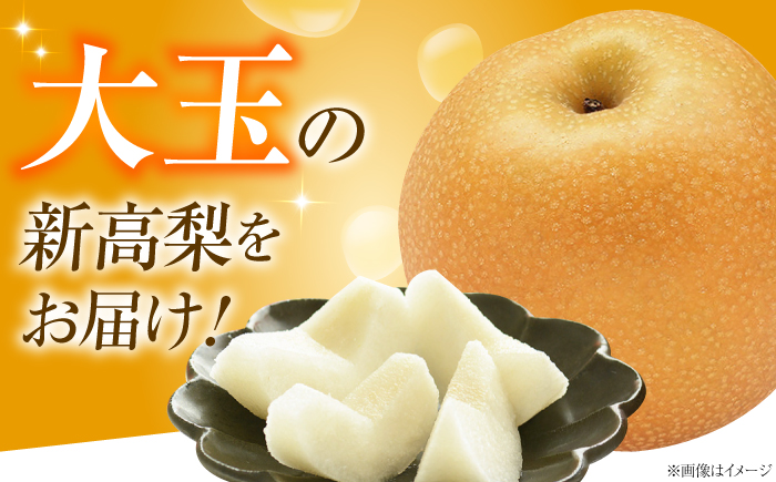 【先行予約】新高梨 （にいたかなし） 4〜6玉 〈2026年9月〜発送〉 ／ フルーツ 果物 くだもの 食品 人気 おすすめ 梨 なし 新高梨 にいたかなし 和梨 甘い 高糖度 ／　株式会社内子フレッシュパークからり [BKAD121]