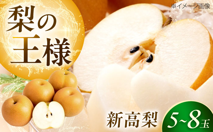 上岡果樹園の新高梨（にいたかなし） 5〜8玉入 〈2026年9月〜発送〉 ／ 梨 なし フルーツ 果物 くだもの 食品 人気 おすすめ 季節のフルーツ 新高梨 【株式会社内子フレッシュパークからり】 [BKAD033]
