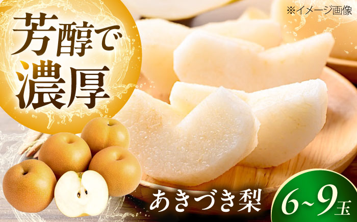 上岡果樹園のあきづき梨 6〜9玉入 〈2026年9月〜発送〉 ／ 梨 なし フルーツ 果物 くだもの 食品 人気 おすすめ 季節のフルーツ あきづき梨 【株式会社内子フレッシュパークからり】 [BKAD035]