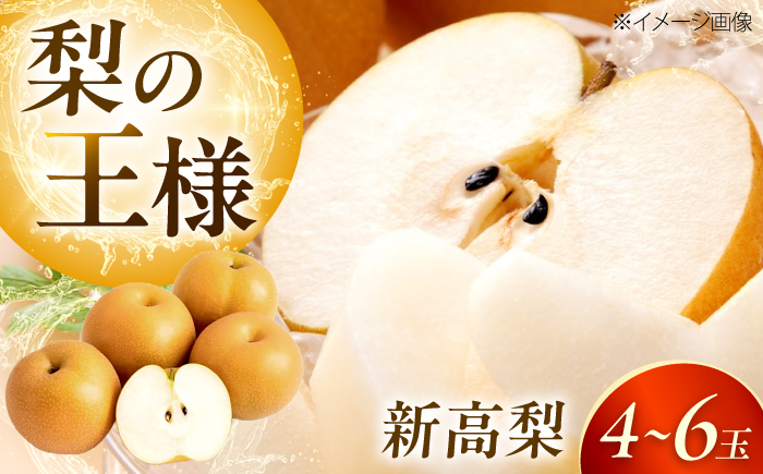 新高梨 （にいたかなし） 4～6玉 〈2026年9月～発送〉 ／ フルーツ 果物 くだもの 食品 人気 おすすめ 梨 なし 新高梨 にいたかなし 和梨 甘い 高糖度 ／　株式会社内子フレッシュパークからり [BKAD121]