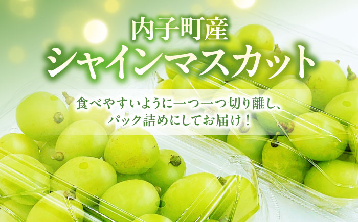 【先行予約】シャインマスカット 350g×2パック パック詰め ＜2026年8月下旬〜発送開始＞ ／ シャインマスカット 大人気 愛媛県 美味しい 人気 皮ごと 葡萄 ブドウ 愛媛県産 内子町産 新鮮 旬 フルーツ 果物 くだもの 四国 【株式会社フジ・アグリフーズ】 [BKAY006]