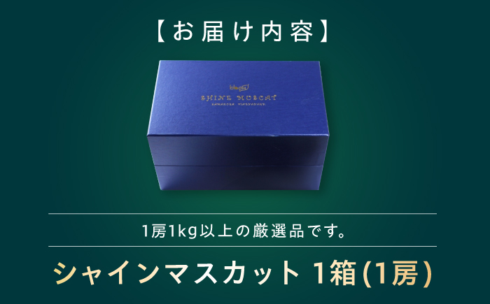 【先行予約】シャインマスカット１房 bloom leaf ／ フルーツ くだもの 果物 ぶどう ブドウ 葡萄 皮ごと マスカット ますかっと 四国 愛媛県 内子町 【ブルームリーフ合同会社】 [BKBI002]
