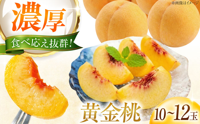 【先行予約】 藤渕果樹園の黄金桃（おうごんとう） 10〜12玉入り 〈2026年8月〜発送〉 ／ 桃 もも 黄桃 フルーツ 果物 くだもの 季節のフルーツ 【株式会社内子フレッシュパークからり】 [BKAD080]