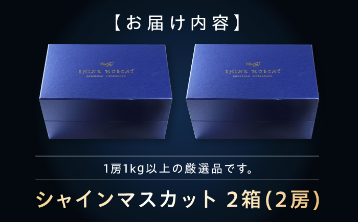 【先行予約】シャインマスカット2房 bloom leaf ／ フルーツ くだもの 果物 ぶどう ブドウ 葡萄 皮ごと マスカット ますかっと 四国 愛媛県 内子町 【ブルームリーフ合同会社】 [BKBI001]