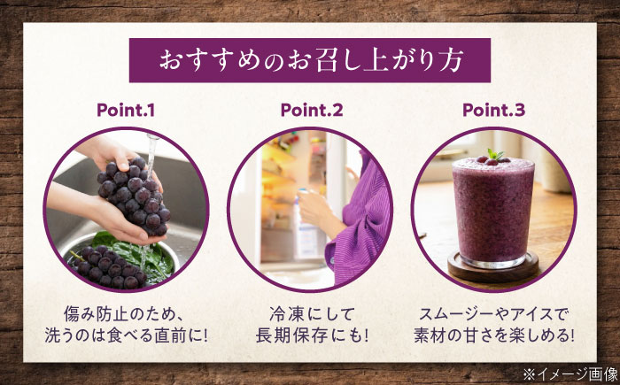 【先行予約】巨峰 約2kg1箱（4房〜6房）＜2026年8月中旬から発送＞/ 巨峰 ぶどう ブドウ 葡萄 愛媛県 愛媛 内子町 フルーツ 果物 送料無料 美味しい おすすめ 人気 特産品 四国 国産 【有限会社ふじブドウ園】 [BKCW003]