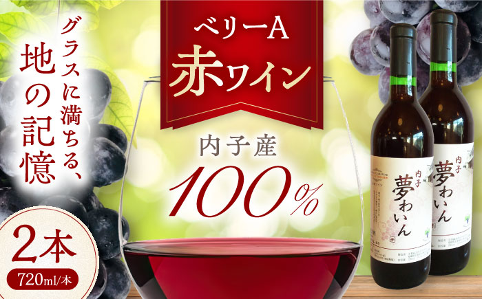 内子夢わいん 赤ワイン (ベリーA) 約720ml 2本 / ワイン 赤ワイン ベリーA わいん wine お酒 酒 洋酒 愛媛県 愛媛 内子町 国産ワイン 日本ワイン 果実酒 送料無料 人気 家飲み 宅飲み 美味しい 【企業組合内子ワイナリー】 [BKAG007]